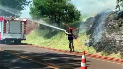 Télécharger la video: Incêndio em vegetação levanta uma grande nuvem de fumaça nas margens da PR-486