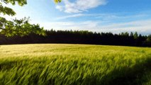Ambient Sounds Of Nature For Sleep, Meditation, Relaxation, Work Or Anything You Want