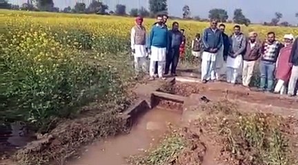 सैकड़ों बीघा में पसरा पानी, फसल खराब होने की आशंका