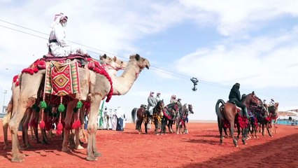 إقبال على المشاركة في أول مسابقة إبل مخصصة للنساء في السعودية