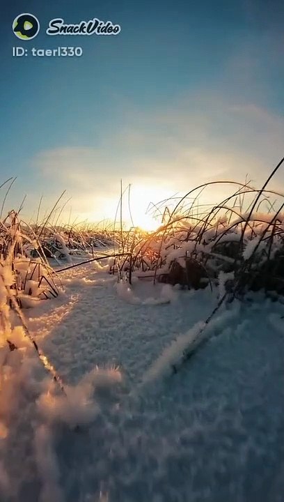 Relax Your Mind With Beautiful Relaxing Music amp Beautiful Nature for Insomnia Relief Meditation