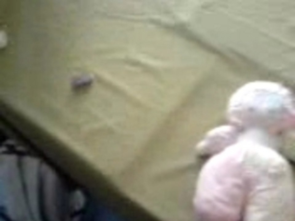 Y'a des moments où tu t'fais chier.