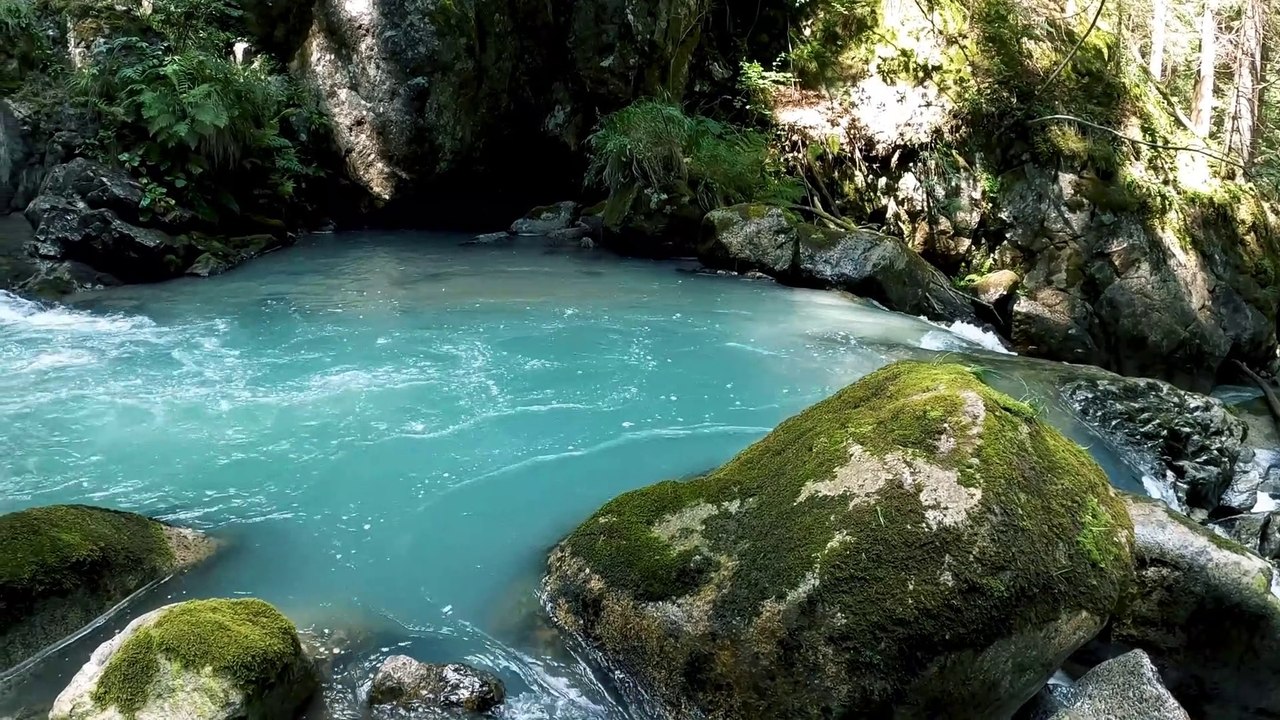WONDERFUL SCENE OF NATURE WITH MESMARIZING VIDEOS