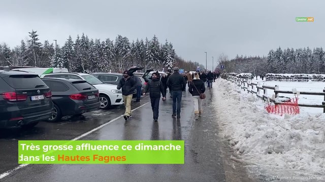 Très grosse affluence ce dimanche dans les Hautes Fagnes