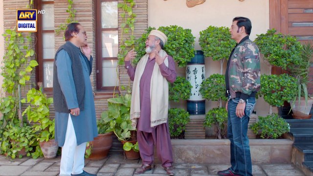 Bulbulay Season 2 Episode 137 16th January 2022 ARY Digital Drama