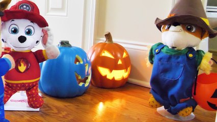 Paw Patrol Baby Pup Halloween Toy Learning Video for Kids!