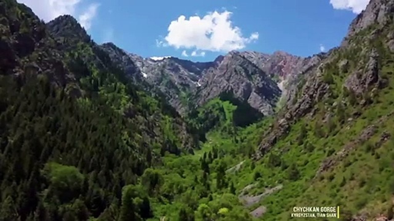 Macron: un bullo al quale il potere è andato alla testa—ed è ormai al delirio!