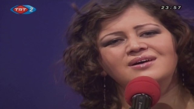 Berrin Şener / Yine bu yıl ada sensiz içime hiç sinmedi