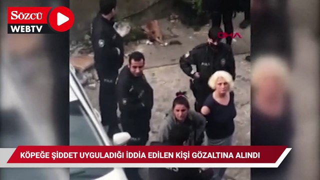 Fatih'te köpeğe şiddet uyguladığı iddia edilen kişi gözaltına alındı