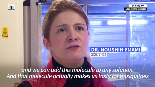 Swedish lab develops poison for mosquitoes to fight malaria