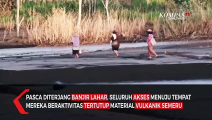 Warga Nekat Terjang Banjir Lahar Semeru Menuju Ladang
