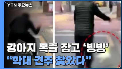 [더뉴스] 강아지 목줄 잡고 공중에서 '빙빙'...견주 "이게 무슨 학대냐" / YTN