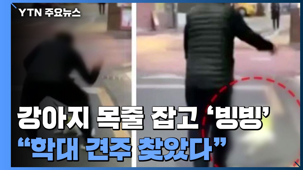 [더뉴스] 강아지 목줄 잡고 공중에서 '빙빙'...견주 "이게 무슨 학대냐" / YTN