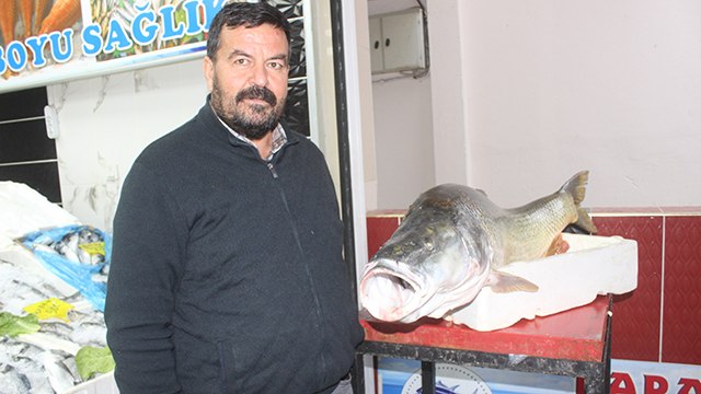 Atatürk Barajı'nda dev turna balığı yakalandı
