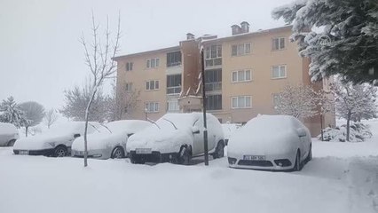 Ahlat'ta kar yağışı etkili oldu