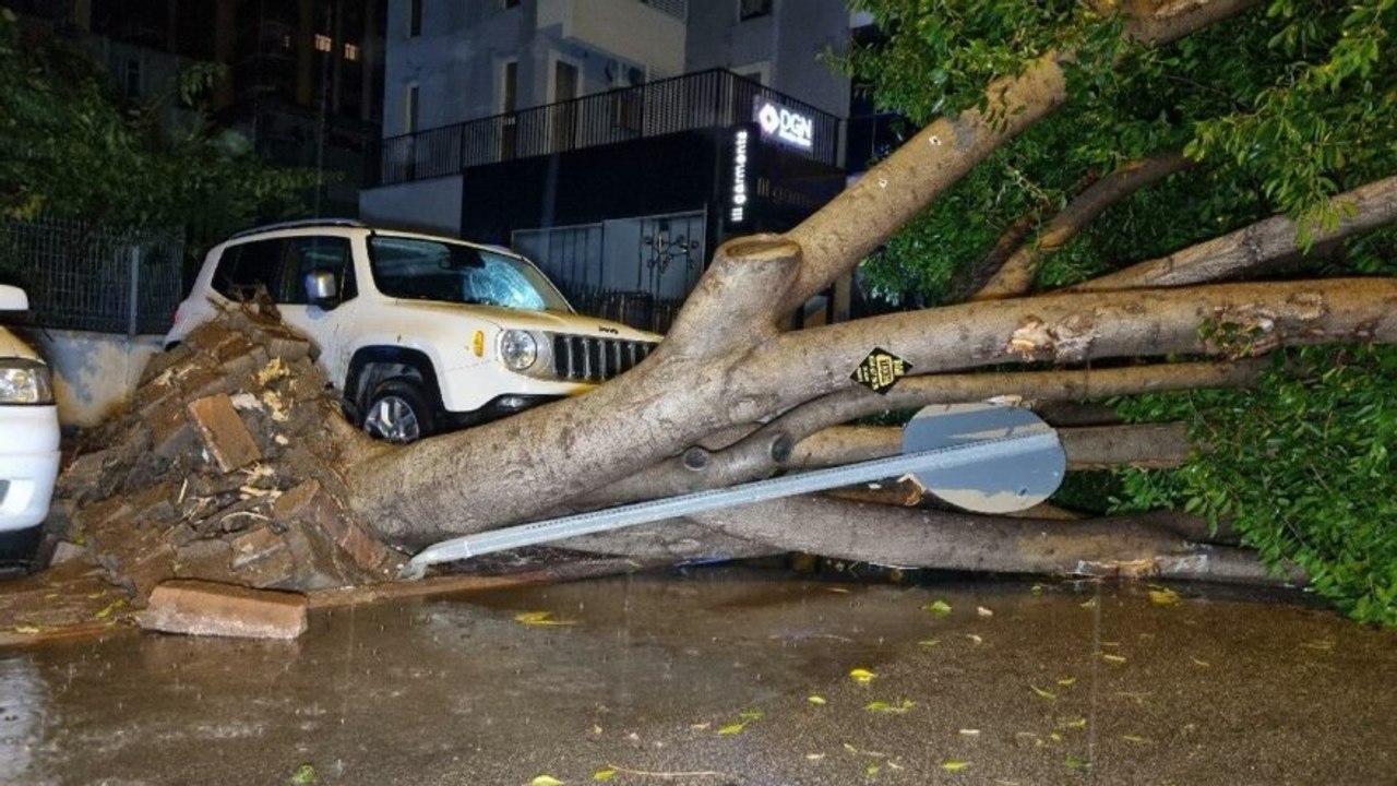 Adana’da fırtına nedeniyle 15 metrelik ağaç devrildi
