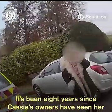 Cadela reencontra-se com a família 8 anos depois de ser roubada