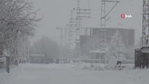 Ahlat'ta yoğun kar yağışı