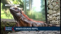 Bali Reptile Park, Wisata Edukasi Reptil