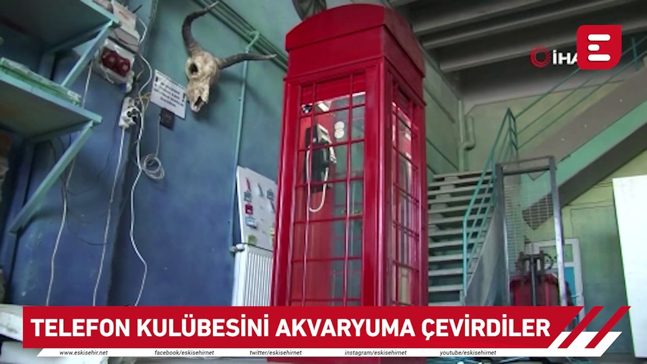 Telefon kulübesini akvaryuma çevirdiler