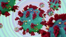 Coronavirus, cosa sappiamo sulla nuova variante Deltacron. Il virologo Pregliasco: 