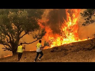 حرائق تونس والجزائر.. مشاهد مرعبة وحرق  شاب حياً
