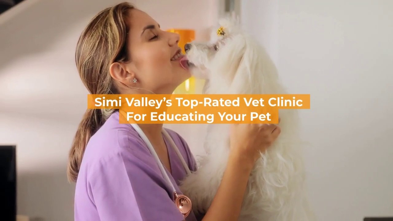 Simi Valley’s Top-Rated Vet Clinic For Educating Your Pet