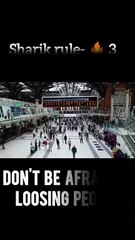 Sharik attitude rules.