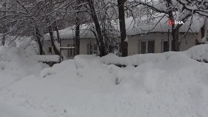 Bitlis'te 203 köy yolu ulaşıma kapandı