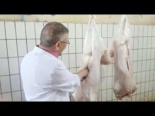 إزاي تعرف إن الأضحية سليمة   مراحل الكشف على الأضاحي داخل المجزر الآلي بالبساتين