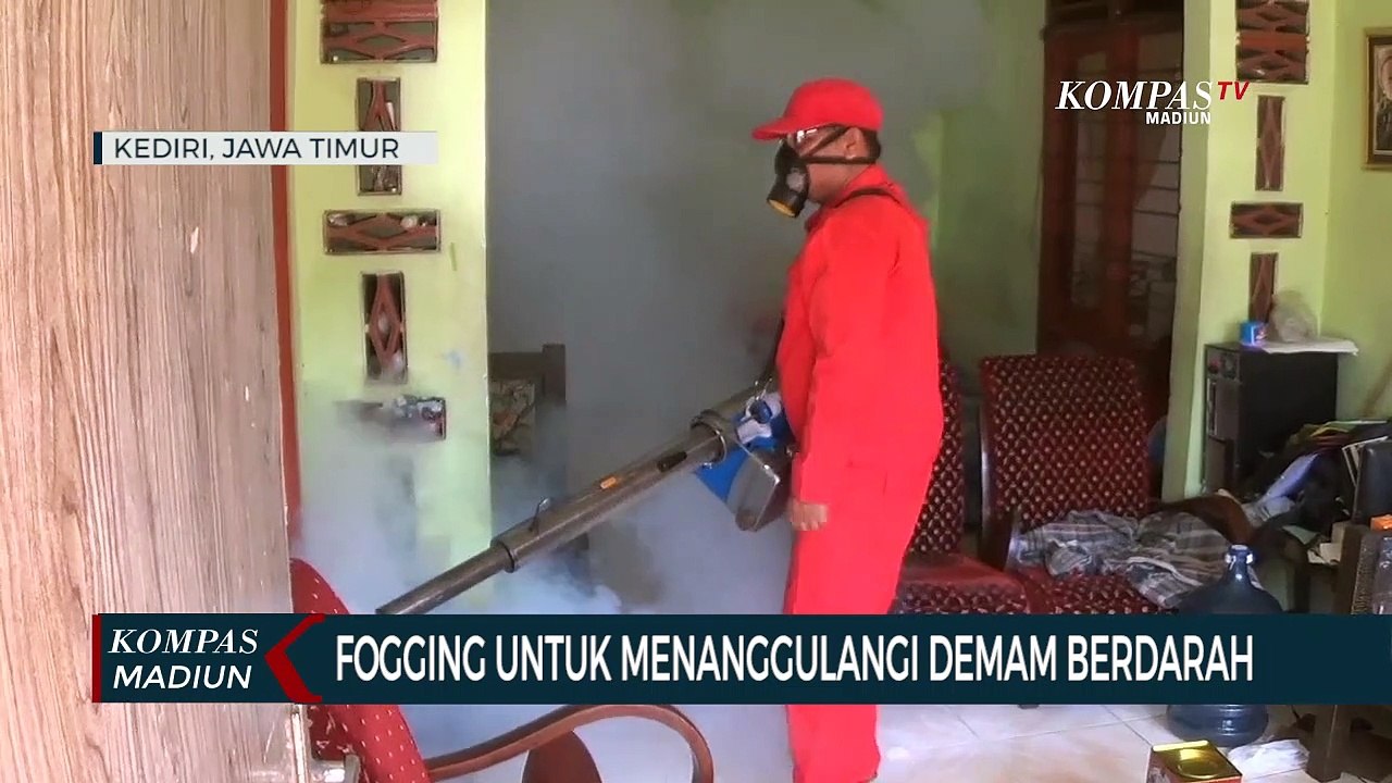 Fogging Untuk Menanggulangi Demam Berdarah