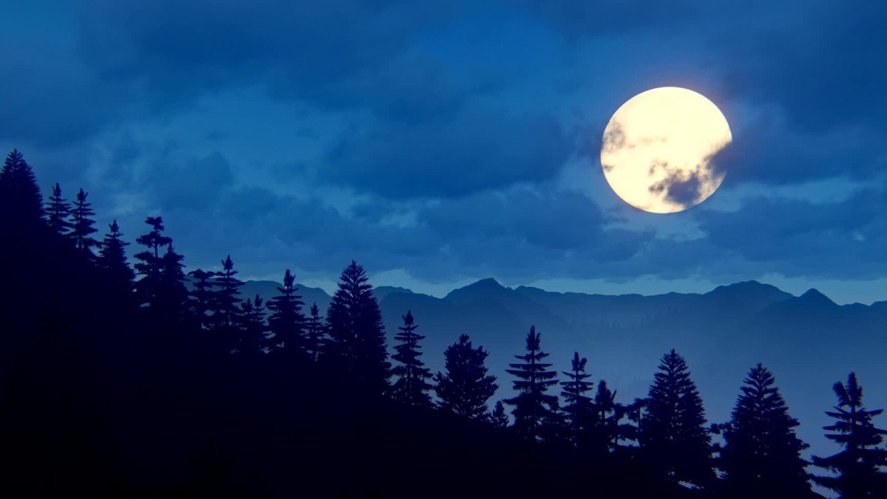 Was bedeutet Vollmond, was bedeutet Neumond? Alles über die Mondphasen