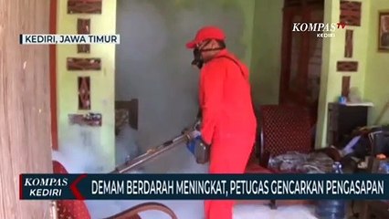 Download Video: Kasus Demam Berdarah Meningkat, Pemkot Kediri Gencar Lakukan Pengasapan