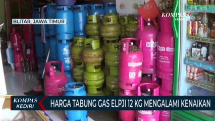 Download Video: Harga Gas Elpiji Non Subsidi Naik