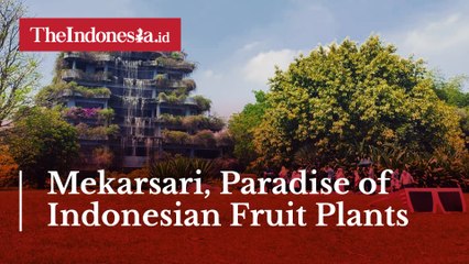 Mekarsari, Paradise of Indonesian Fruit Plants