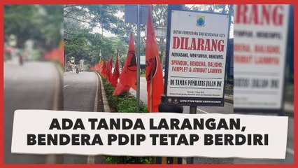 Ada Tanda Larangan, Bendera PDIP Tetap Berdiri di Sepanjang Jalan Meski Langgar Perda