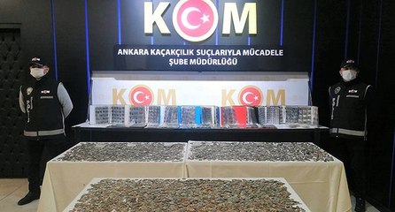 Başkent polisinden dev tarihi eser operasyonu