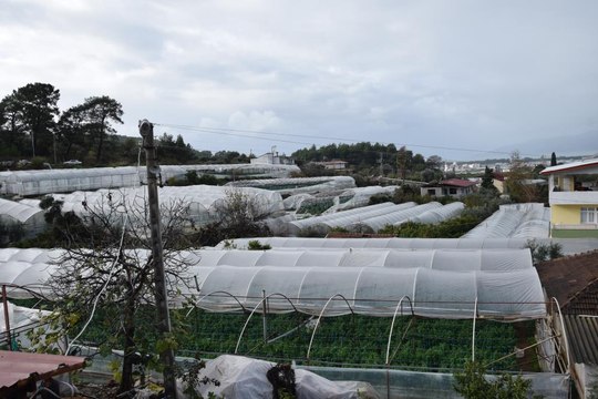 Bir saat arayla çıkan 2 hortum seralara zarar verdi