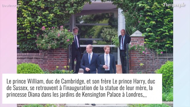 Le prince William furieux contre son frère Harry : leurs dernières retrouvailles sous tension