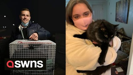 Cat that vanished at a UK service station has been found living there - seven months later