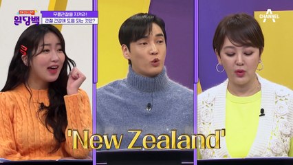 타 기름에 비해 '200배' 관절 부종 억제 효과가 있는 '초록입홍합오일'