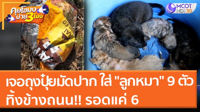 เจอถุงปุ๋ยมัดปาก ใส่ ลูกหมา ทิ้งข้างถนน!! เสียชีวิต 3 รอด 6 (10 ม.ค. 65) คุยโขมงบ่าย 3 โมง