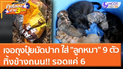 เจอถุงปุ๋ยมัดปาก ใส่ "ลูกหมา" ทิ้งข้างถนน!! เสียชีวิต 3 รอด 6 (10 ม.ค. 65) คุยโขมงบ่าย 3 โมง