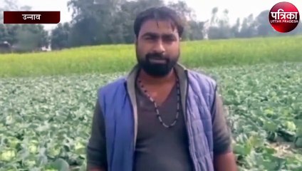 बारिश और बर्फबारी ने किसानों पर ढाया कहर, किसानों ने बताया...