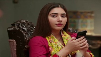 Bade Achhe Lagate Hain Promo; Why Priya ignores Ram? | FilmiBeat