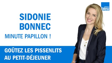 Exit le café, goûtez les pissenlits au petit-déjeuner