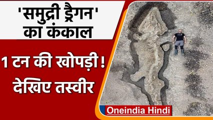 Sea Dragon Skeleton: 18 करोड़ साल पुराने 'समुद्री ड्रैगन' का मिला कंकाल | Britain ​| वनइंडिया हिंदी