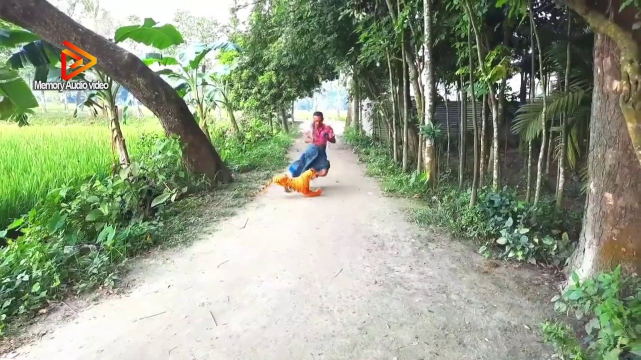 best funny video2022  New Funny Clips