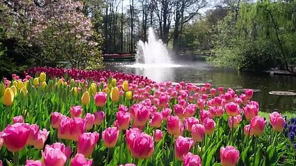 The Joys Of Gardening Jpi Branding-1