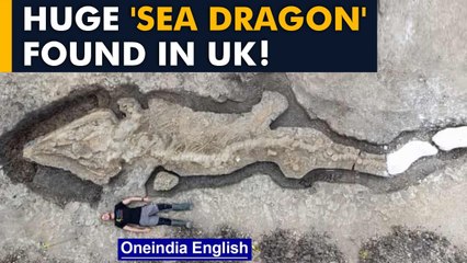Huge 'sea dragon' fossil found in UK | Ichthyosaur fossil | Oneindia News